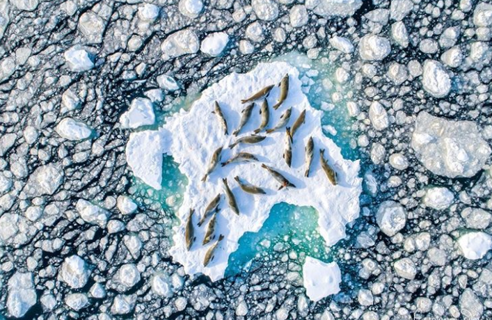 Ảnh: BrightSide Ảnh: BrightSide