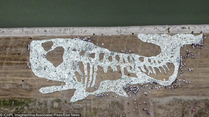 Ảnh: BrightSide Ảnh: BrightSide