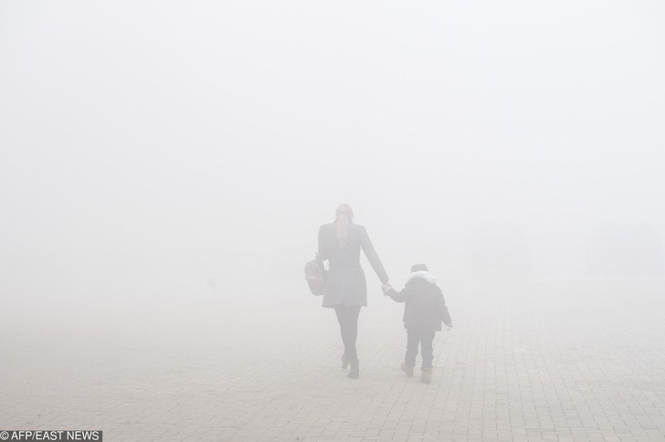 Ảnh: BrightSide Ảnh: BrightSide