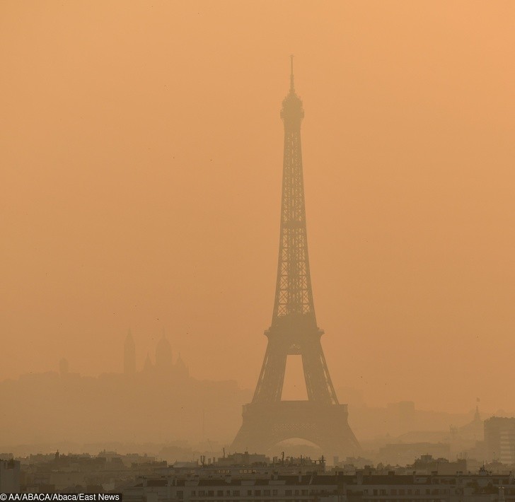 Ảnh: BrightSide Ảnh: BrightSide