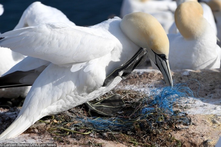 Ảnh: BrightSide Ảnh: BrightSide