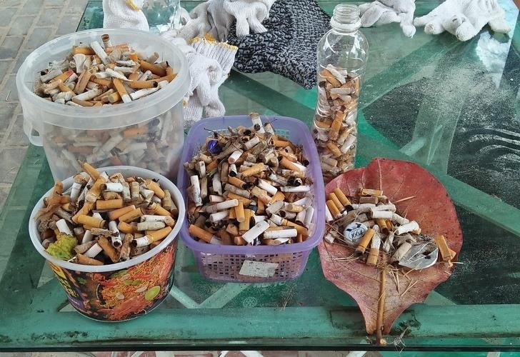 Ảnh: BrightSide Ảnh: BrightSide