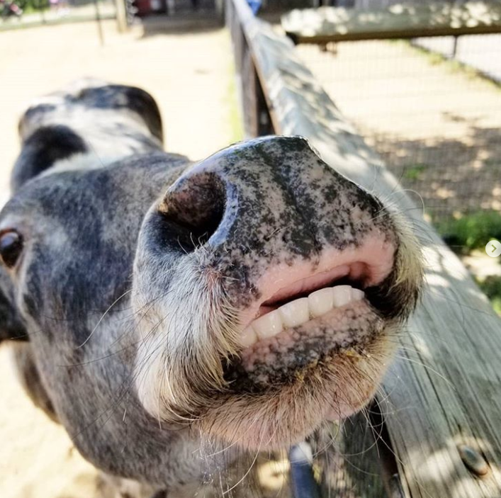 Ảnh: BrightSide Ảnh: BrightSide