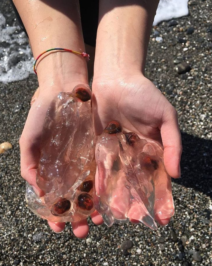 Ảnh: BrightSide Ảnh: BrightSide