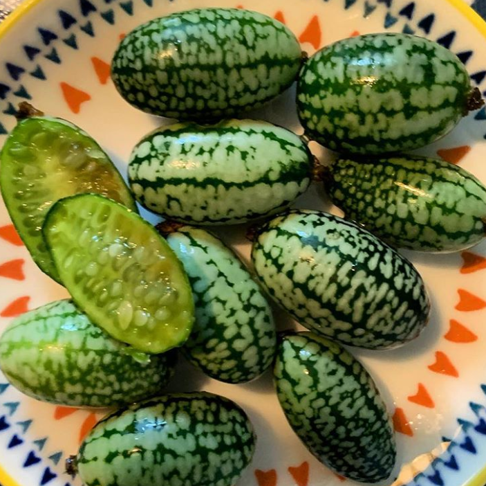 Ảnh: BrightSide Ảnh: BrightSide