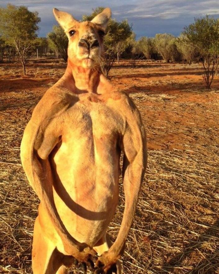 Ảnh: BrightSide Ảnh: BrightSide