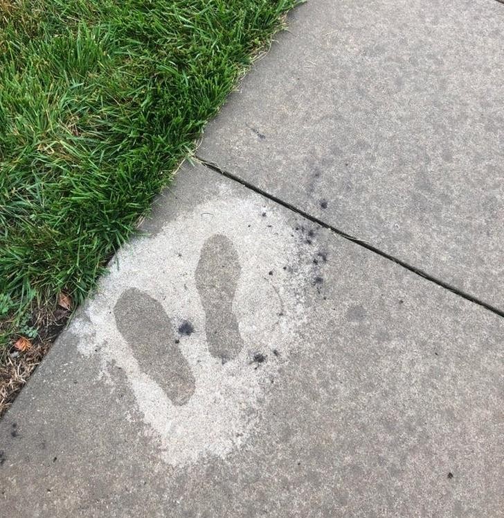 Ảnh: BrightSide Ảnh: BrightSide