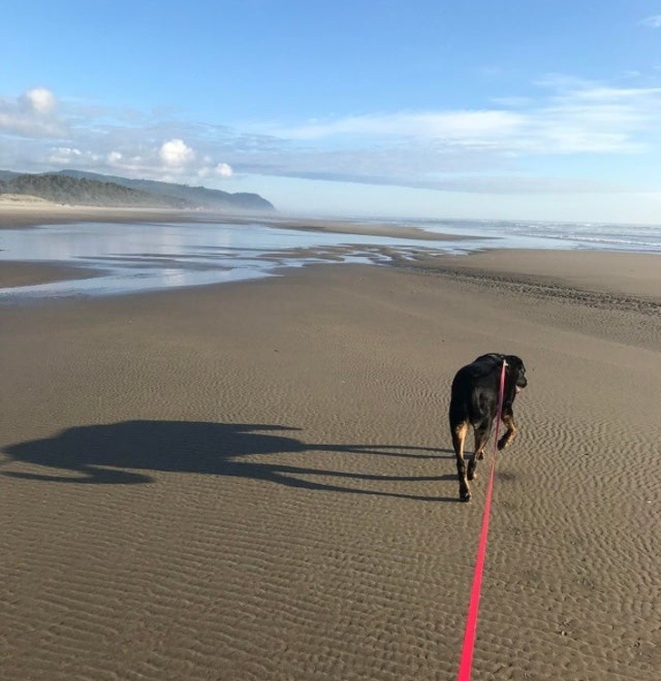 Ảnh: BrightSide Ảnh: BrightSide