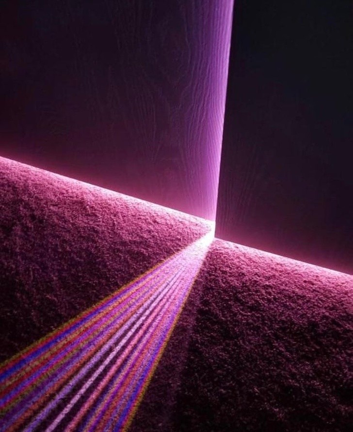 Ảnh: BrightSide Ảnh: BrightSide