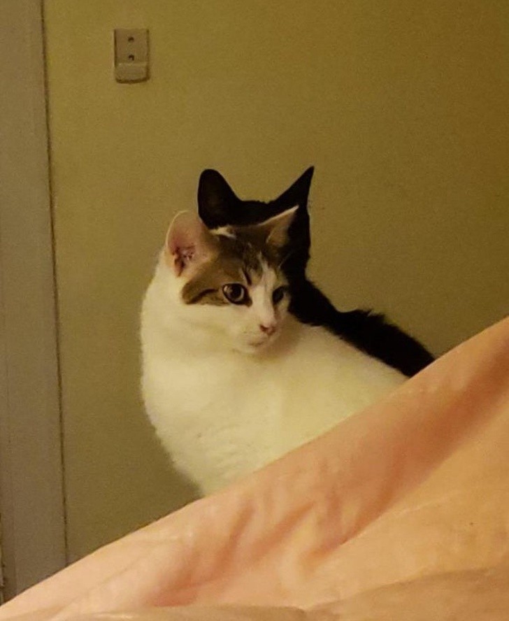 Ảnh: BrightSide Ảnh: BrightSide