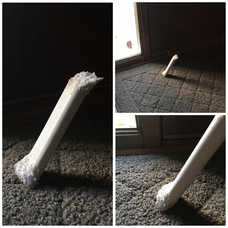 Ảnh: BrightSide Ảnh: BrightSide