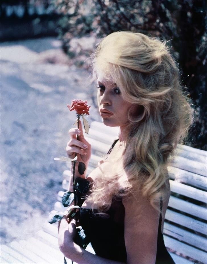 Ảnh: BrightSide Ảnh: BrightSide