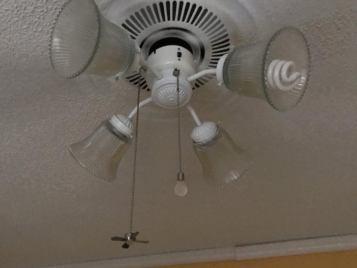 Ảnh: BrightSide Ảnh: BrightSide