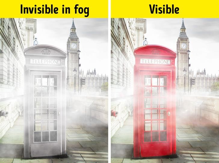 Ảnh: BrightSide Ảnh: BrightSide