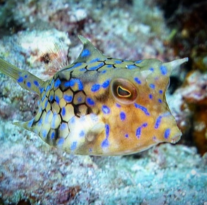 Ảnh: BrightSide Ảnh: BrightSide