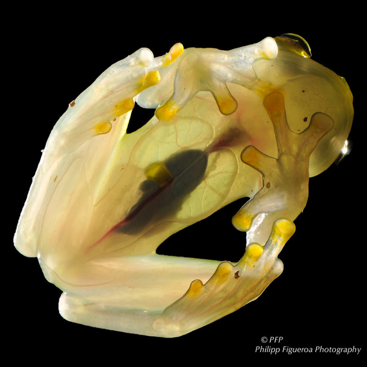 Ảnh: BrightSide Ảnh: BrightSide