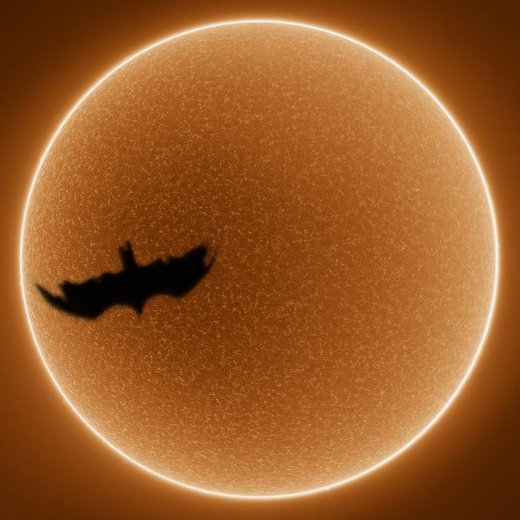 Ảnh: BrightSide Ảnh: BrightSide