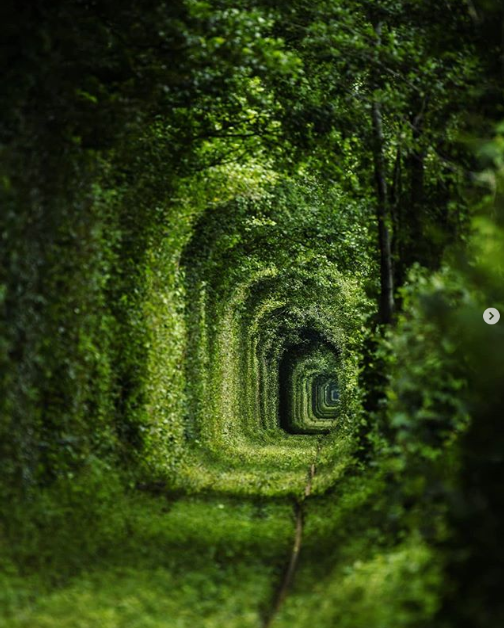 Ảnh: BrightSide Ảnh: BrightSide