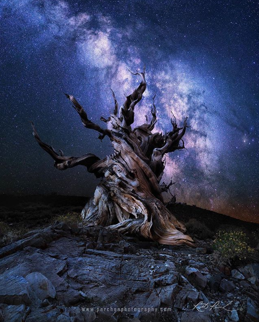 Ảnh: BrightSide Ảnh: BrightSide