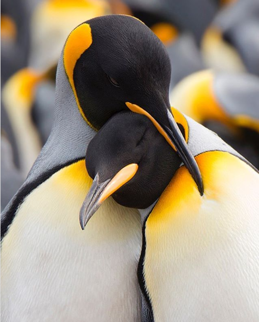 Ảnh: BrightSide Ảnh: BrightSide