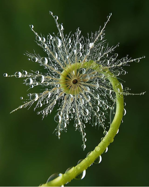 Ảnh: BrightSide Ảnh: BrightSide