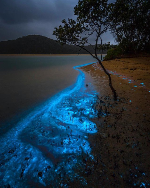 Ảnh: BrightSide Ảnh: BrightSide