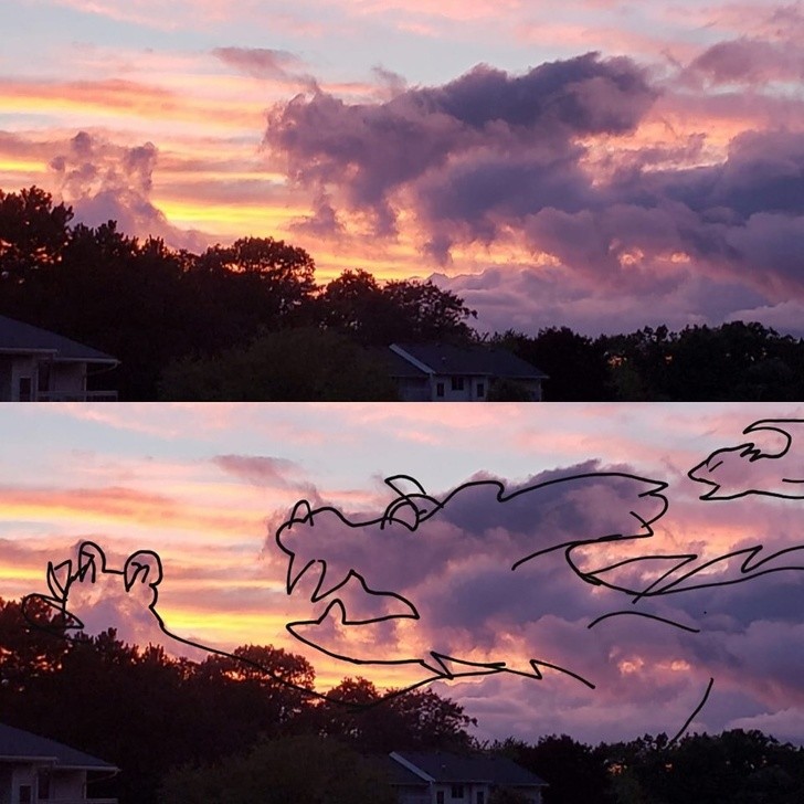 Ảnh: BrightSide Ảnh: BrightSide