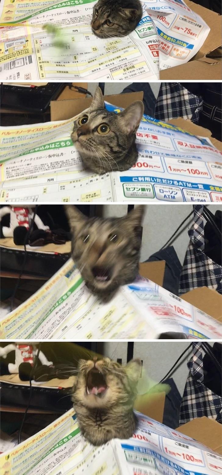 Ảnh: BrightSide Ảnh: BrightSide