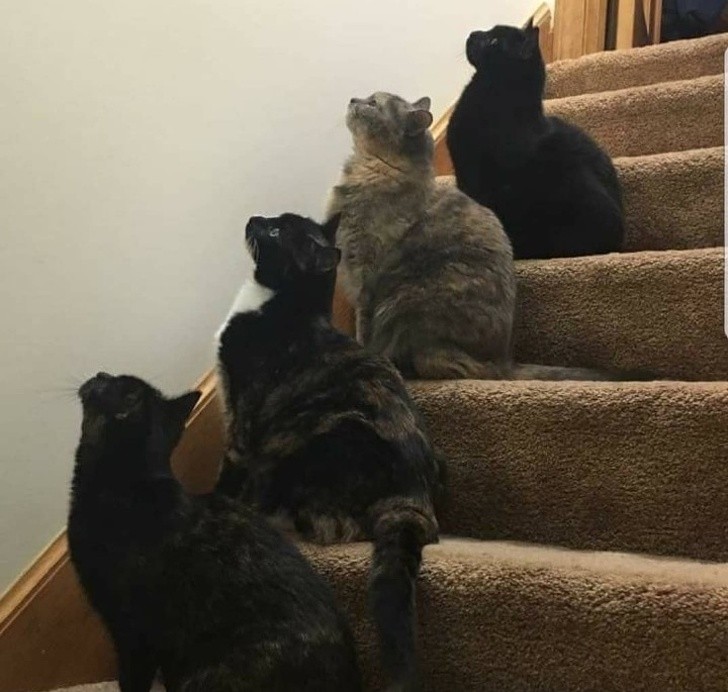 Ảnh: BrightSide Ảnh: BrightSide