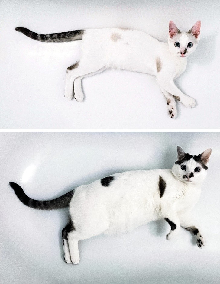 Ảnh: BrightSide Ảnh: BrightSide