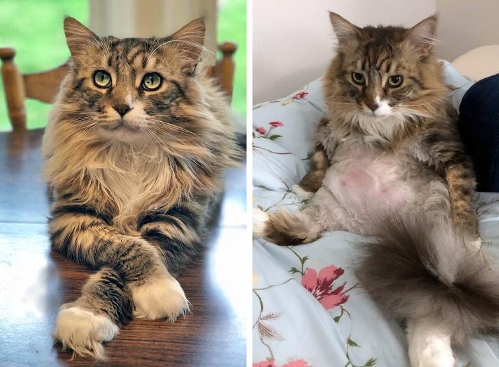 Ảnh: BrightSide Ảnh: BrightSide