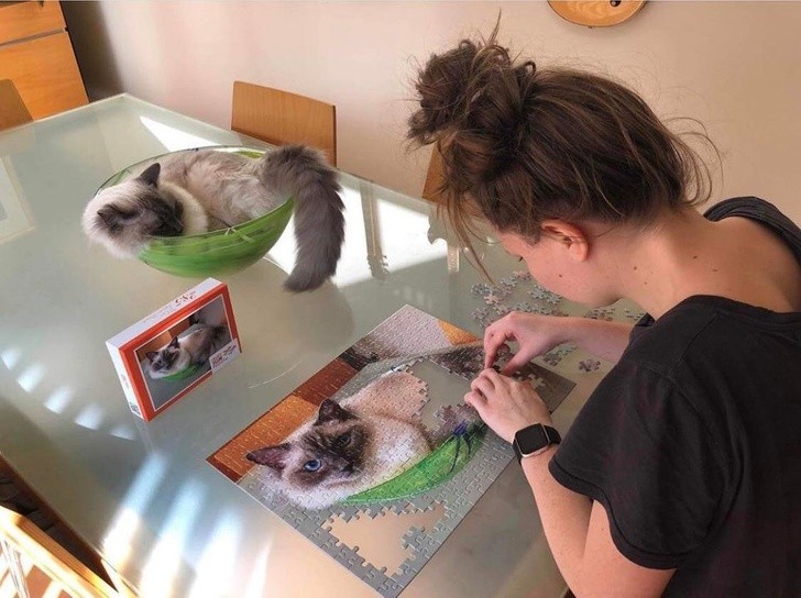 Ảnh: BrightSide Ảnh: BrightSide