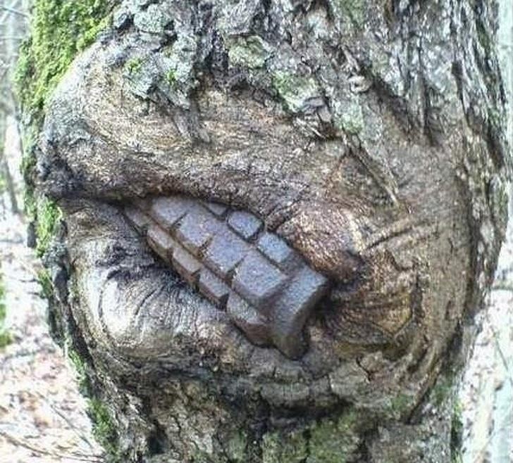 Ảnh: BrightSide Ảnh: BrightSide