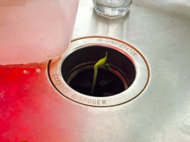 Ảnh: BrightSide Ảnh: BrightSide