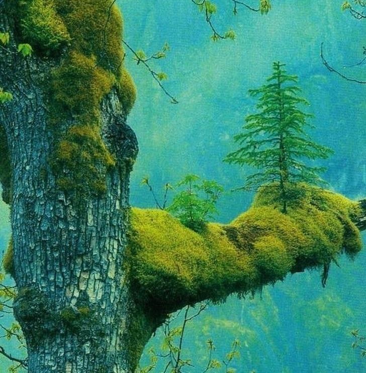 Ảnh: BrightSide Ảnh: BrightSide