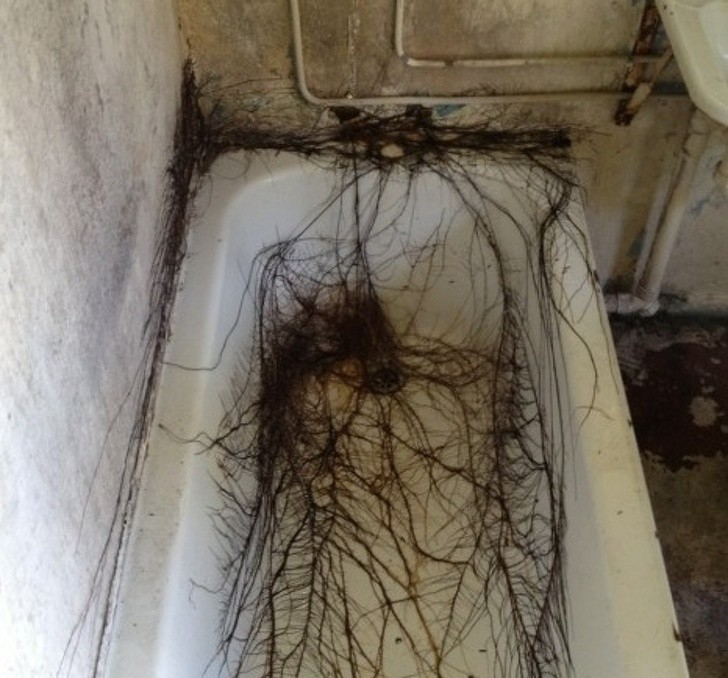 Ảnh: BrightSide Ảnh: BrightSide