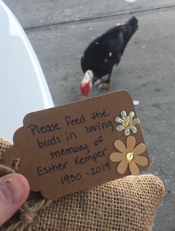 Ảnh: BrightSide Ảnh: BrightSide