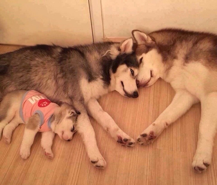 Ảnh: BrightSide Ảnh: BrightSide