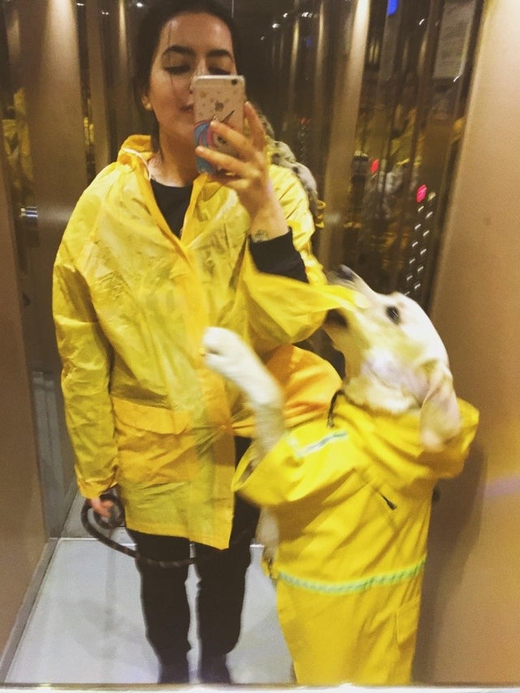Ảnh: BrightSide Ảnh: BrightSide