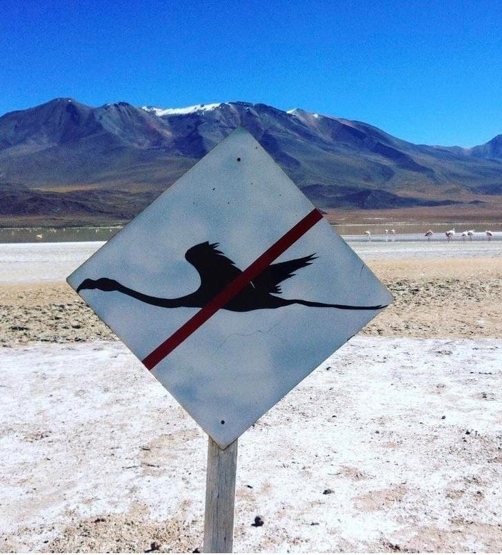 Ảnh: BrightSide Ảnh: BrightSide