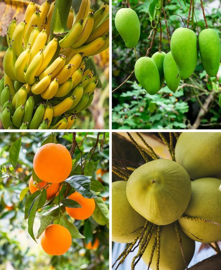 Ảnh: BrightSide Ảnh: BrightSide