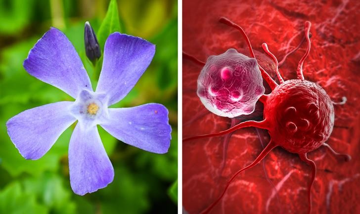 Ảnh: BrightSide Ảnh: BrightSide