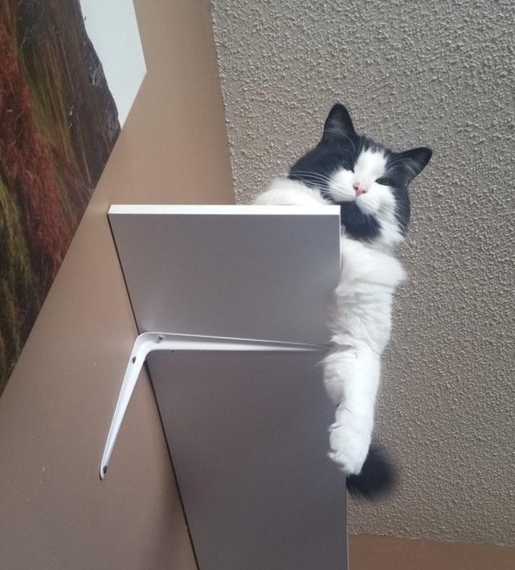 Ảnh: BrightSide Ảnh: BrightSide