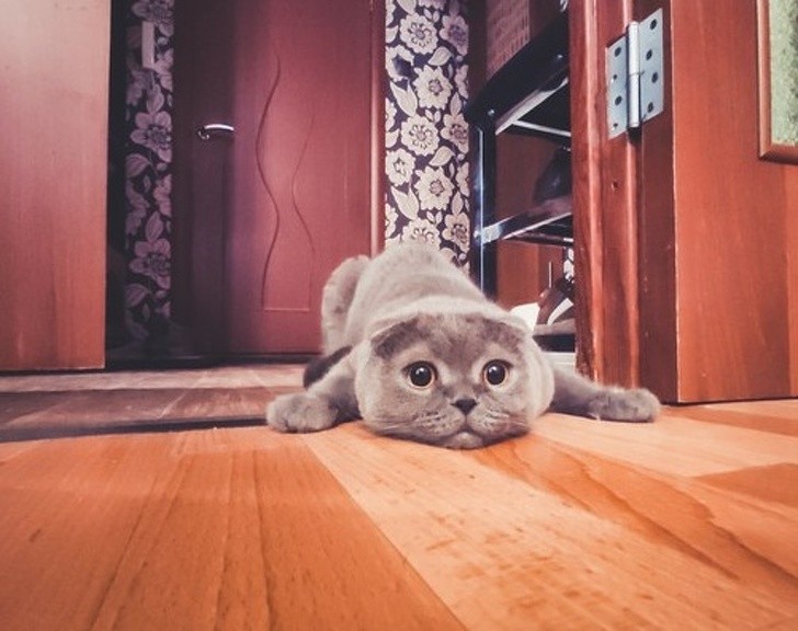 Ảnh: BrightSide Ảnh: BrightSide