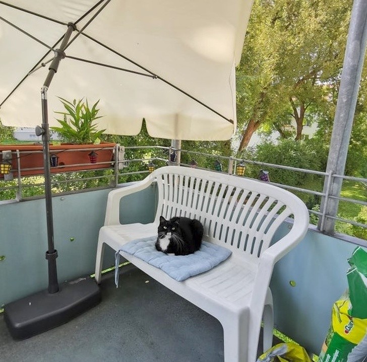 Ảnh: BrightSide Ảnh: BrightSide