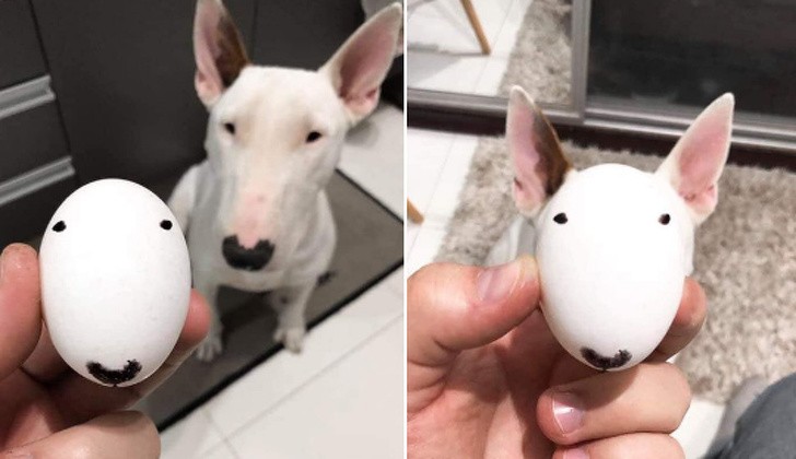 Ảnh: BrightSide Ảnh: BrightSide