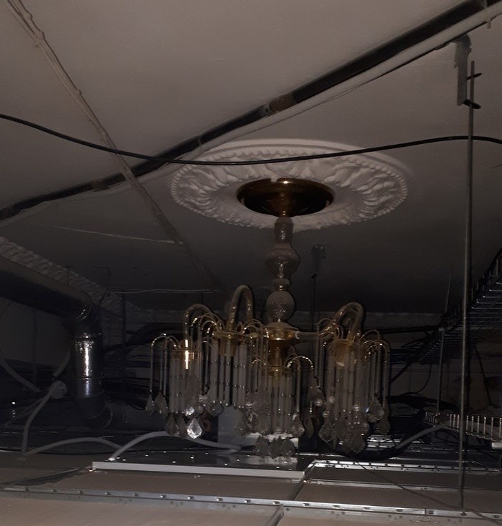 Ảnh: BrightSide Ảnh: BrightSide