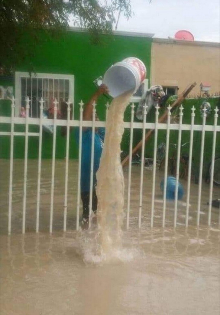 Ảnh: BrightSide Ảnh: BrightSide