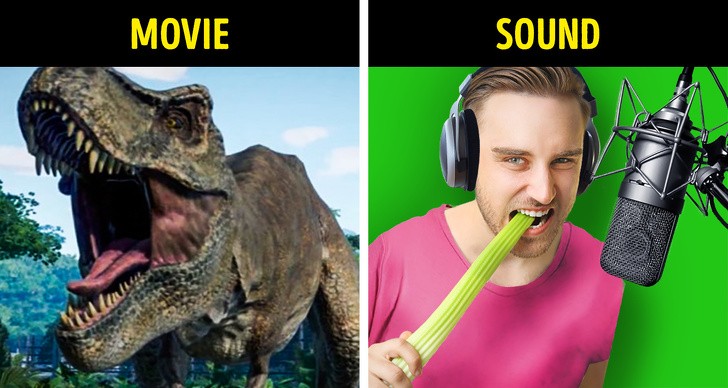 Ảnh: BrightSide Ảnh: BrightSide