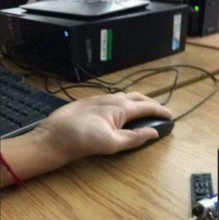 Ảnh: BrightSide Ảnh: BrightSide